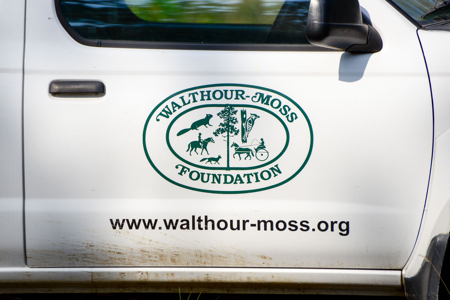 Walthour-Moss Foundation.jpg